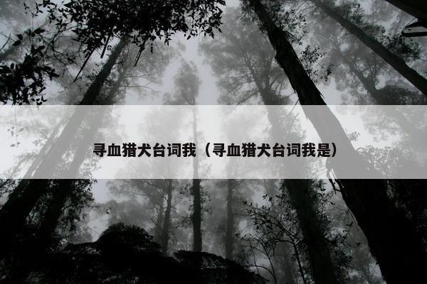 寻血猎犬台词我（寻血猎犬台词我是）