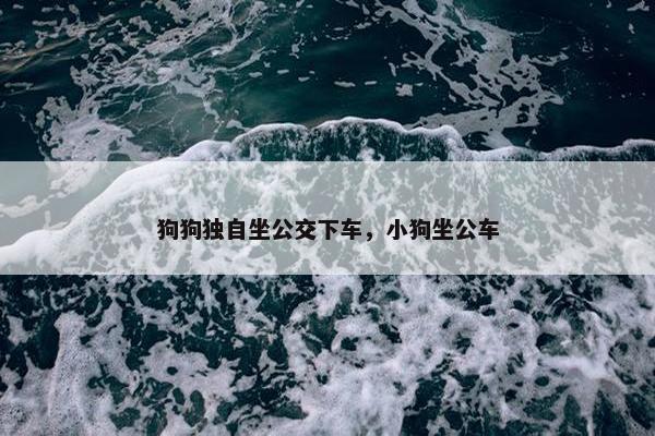 狗狗独自坐公交下车，小狗坐公车