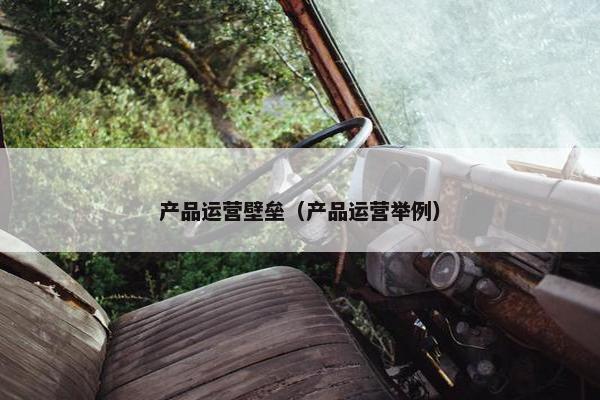 产品运营壁垒（产品运营举例）