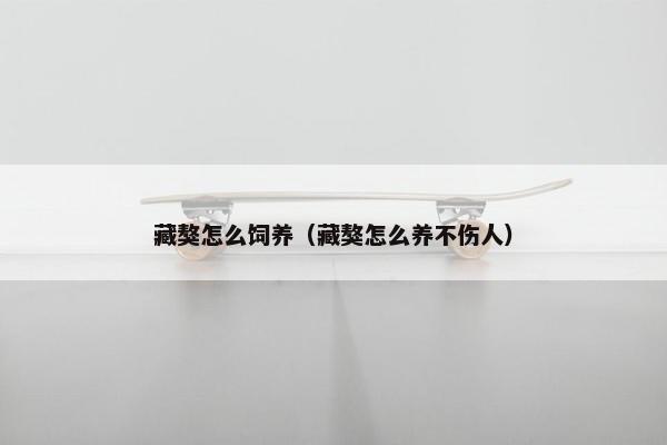 藏獒怎么饲养（藏獒怎么养不伤人）