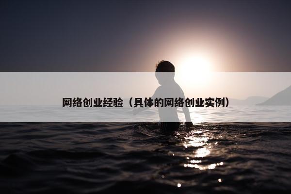 网络创业经验（具体的网络创业实例）