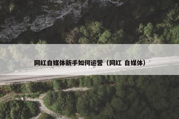 网红自媒体新手如何运营（网红 自媒体）