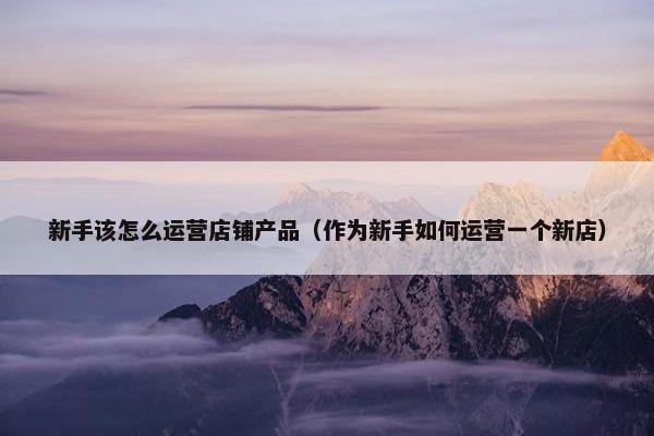 新手该怎么运营店铺产品（作为新手如何运营一个新店）