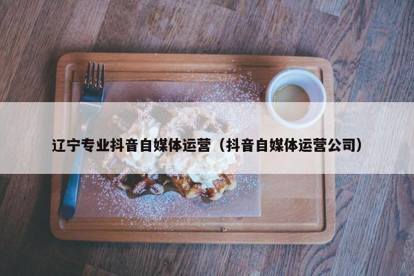 辽宁专业抖音自媒体运营（抖音自媒体运营公司）