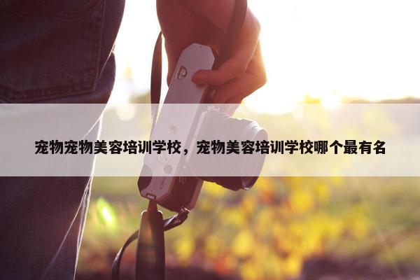 宠物宠物美容培训学校，宠物美容培训学校哪个最有名