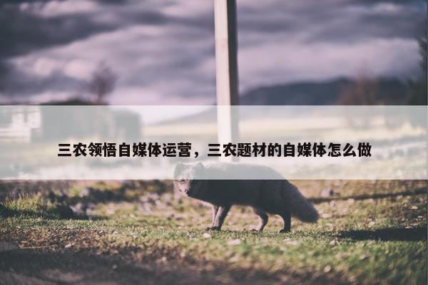 三农领悟自媒体运营，三农题材的自媒体怎么做