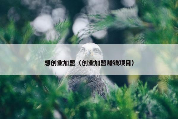 想创业加盟（创业加盟赚钱项目）