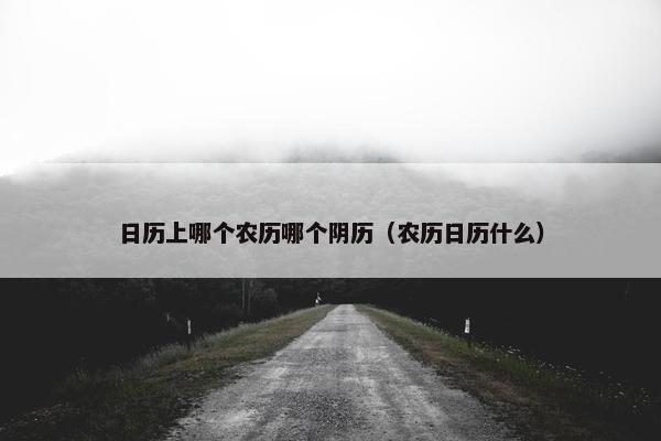 日历上哪个农历哪个阴历（农历日历什么）