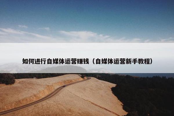 如何进行自媒体运营赚钱（自媒体运营新手教程）