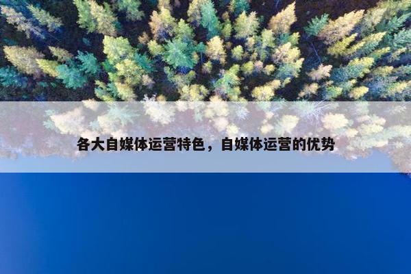 各大自媒体运营特色，自媒体运营的优势