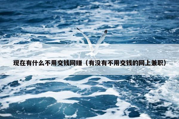 现在有什么不用交钱网赚（有没有不用交钱的网上兼职）