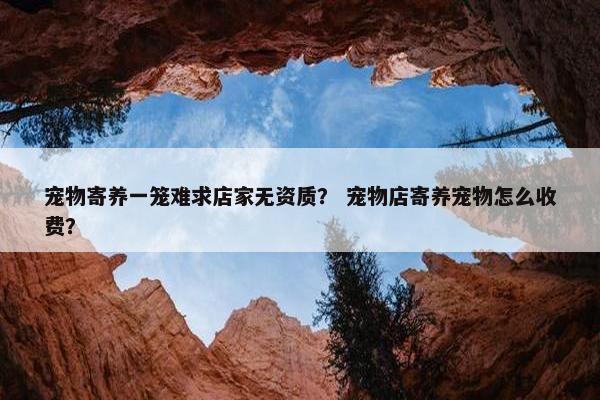 宠物寄养一笼难求店家无资质？ 宠物店寄养宠物怎么收费？