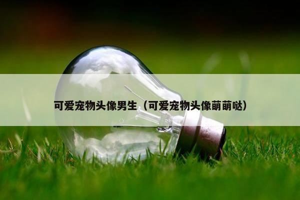 可爱宠物头像男生（可爱宠物头像萌萌哒）