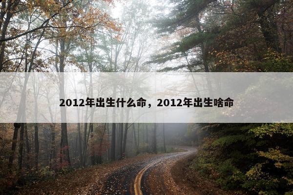 2012年出生什么命，2012年出生啥命