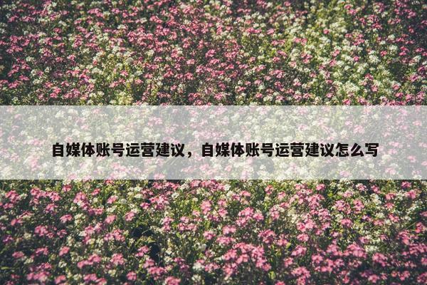 自媒体账号运营建议，自媒体账号运营建议怎么写
