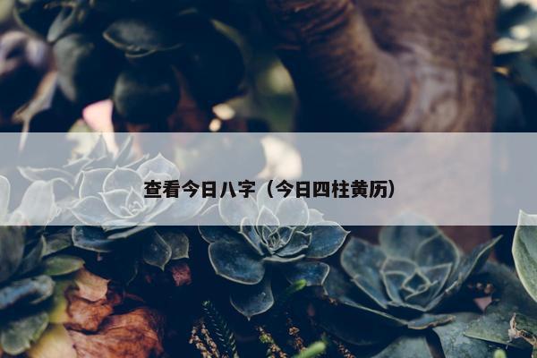 查看今日八字（今日四柱黄历）
