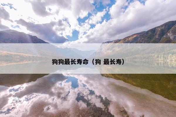 狗狗最长寿命（狗 最长寿）