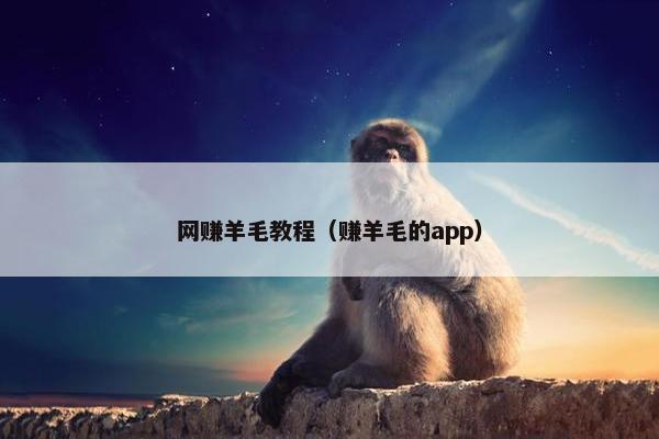 网赚羊毛教程（赚羊毛的app）