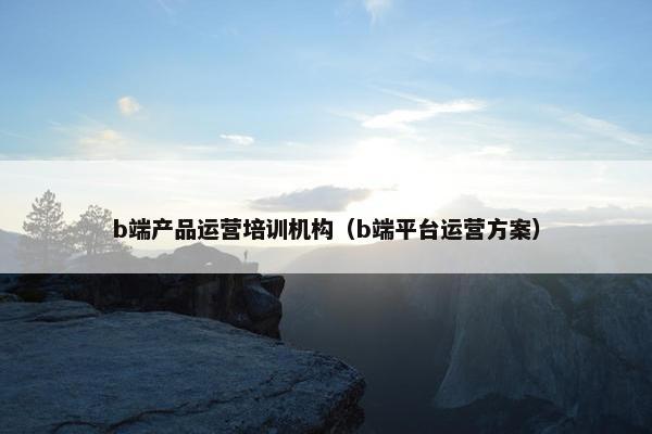 b端产品运营培训机构（b端平台运营方案）