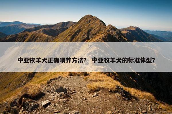 中亚牧羊犬正确喂养方法？ 中亚牧羊犬的标准体型？