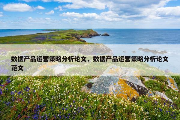 数据产品运营策略分析论文，数据产品运营策略分析论文范文
