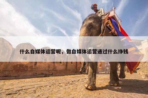 什么自媒体运营呢，做自媒体运营通过什么挣钱