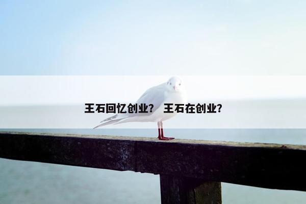王石回忆创业？ 王石在创业？