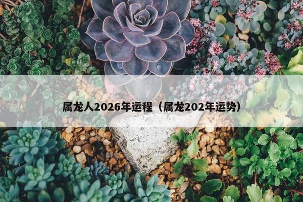 属龙人2026年运程（属龙202年运势）