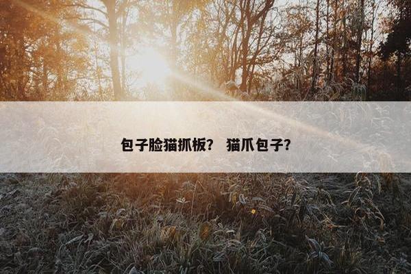 包子脸猫抓板？ 猫爪包子？