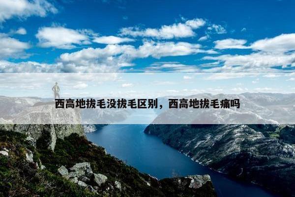 西高地拔毛没拔毛区别，西高地拔毛痛吗