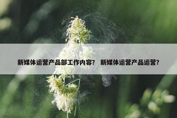 新媒体运营产品部工作内容？ 新媒体运营产品运营？