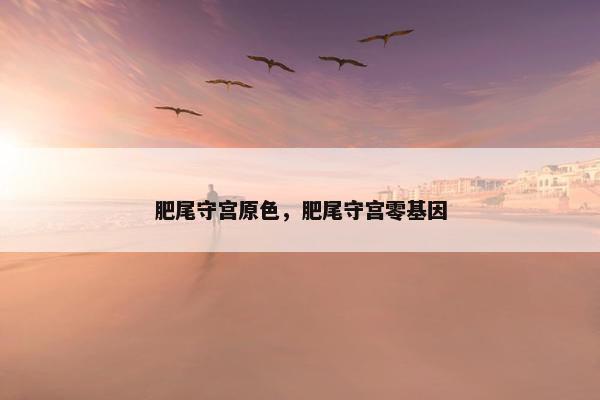 肥尾守宫原色，肥尾守宫零基因