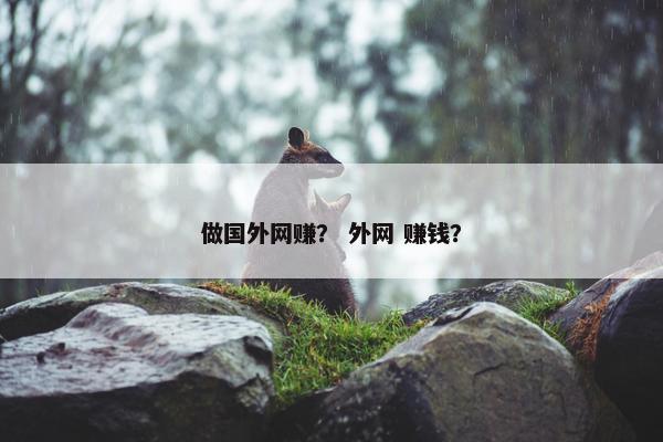 做国外网赚？ 外网 赚钱？
