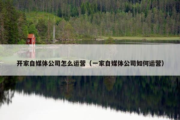 开家自媒体公司怎么运营（一家自媒体公司如何运营）