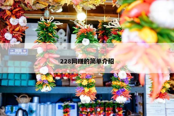 228网赚的简单介绍