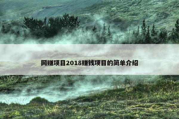 网赚项目2018赚钱项目的简单介绍