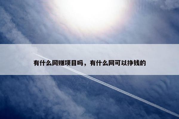 有什么网赚项目吗，有什么网可以挣钱的