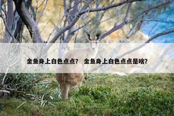 金鱼身上白色点点？ 金鱼身上白色点点是啥？