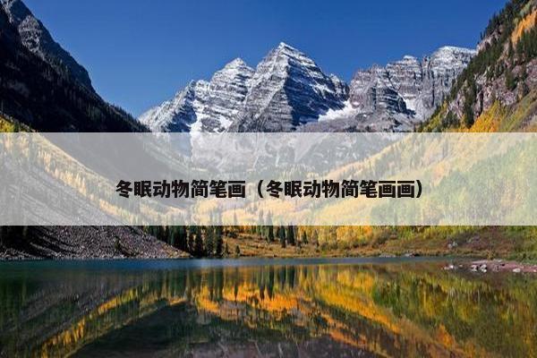 冬眠动物简笔画（冬眠动物简笔画画）