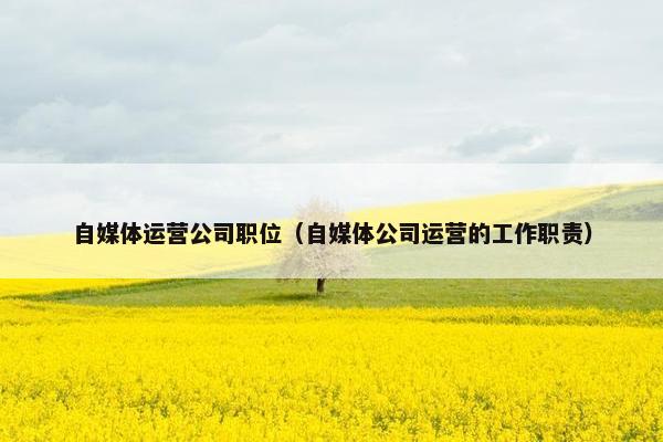 自媒体运营公司职位（自媒体公司运营的工作职责）