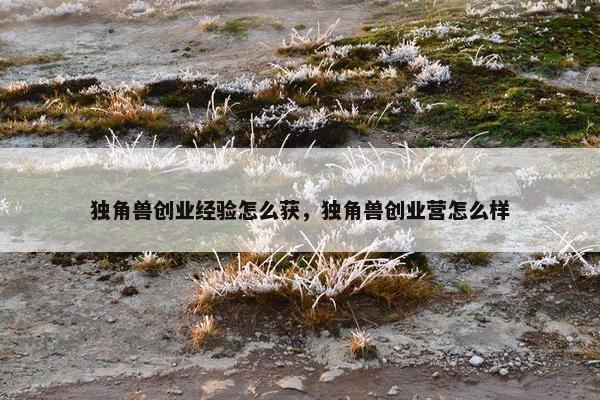 独角兽创业经验怎么获，独角兽创业营怎么样