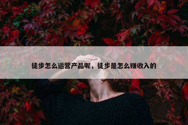 徒步怎么运营产品呢，徒步是怎么赚收入的