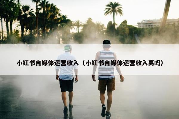小红书自媒体运营收入（小红书自媒体运营收入高吗）