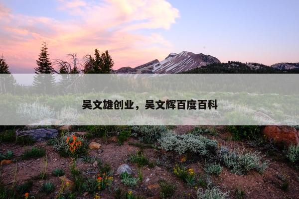吴文雄创业，吴文辉百度百科