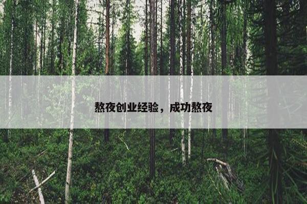 熬夜创业经验，成功熬夜