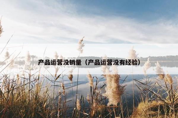 产品运营没销量（产品运营没有经验）