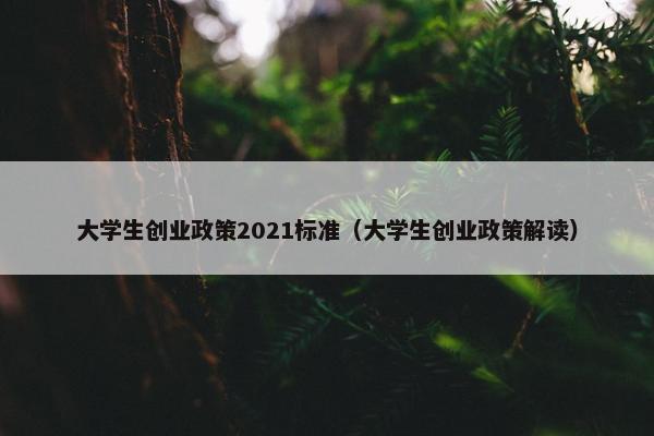 大学生创业政策2021标准（大学生创业政策解读）