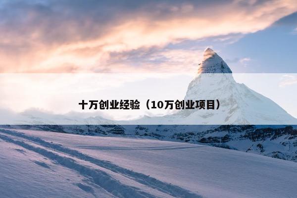十万创业经验（10万创业项目）