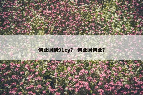 创业网到91cy？ 创业网创业？