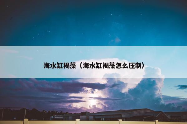 海水缸褐藻（海水缸褐藻怎么压制）